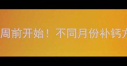 孕期补钙黄金期孕12周前开始不同月份补钙方案全攻略附品牌推荐