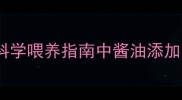 宝宝辅食添加全攻略科学喂养指南中酱油添加的最佳时机与注意事项
