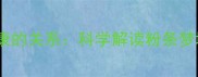 孕期梦境与胎儿健康的关系科学解读粉条梦境背后的孕育密码