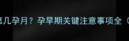 怀孕12周5天是第几孕月孕早期关键注意事项全附胎儿发育图
