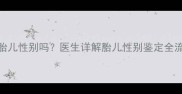孕12周B超能查胎儿性别吗医生详解胎儿性别鉴定全流程及注意事项