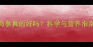 孕妇每天吃海参真的好吗科学与营养指南附食谱