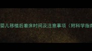 试管婴儿移植后着床时间及注意事项附科学指南