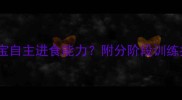 如何科学培养宝宝自主进食能力附分阶段训练指南与常见误区