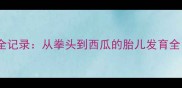 怀孕十个月子宫变化全记录从拳头到西瓜的胎儿发育全附科学测量方法
