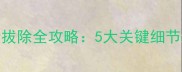 孕期女性智齿拔除全攻略5大关键细节新手父母必看