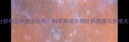 孕妇梦见肚脐眼流水是吉兆吗科学解读孕期肚脐健康与梦境关联全指南