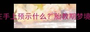 孕妇梦见蝴蝶落在手上预示什么胎教期梦境与科学胎教指南