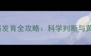 0-6岁宝宝走路发育全攻略科学判断与黄金期培养指南