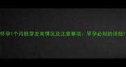 怀孕1个月胚芽发育情况及注意事项早孕必知的详细