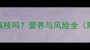 孕期中期可以吃荔枝吗营养与风险全附科学食用指南