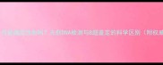 孕期两个月能确定性别吗无创DNA检测与B超鉴定的科学区别附权威指南