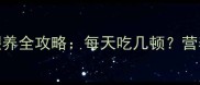 十个月宝宝辅食喂养全攻略每天吃几顿营养搭配与注意事项