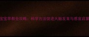 5个月宝宝早教全攻略科学方法促进大脑发育与感官启蒙指南