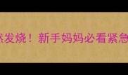 九个月宝宝突然发烧新手妈妈必看紧急处理指南