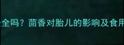 孕妇初期吃茴香安全吗茴香对胎儿的影响及食用指南附食谱