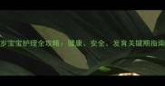 2岁宝宝护理全攻略健康安全发育关键期指南