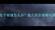 孕期四个月肚子被撞怎么办胎儿安全指南与紧急处理措施