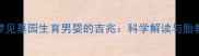 孕妇梦见墓园生育男婴的吉兆科学解读与胎教指南