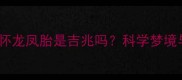 二胎妈妈梦见怀龙凤胎是吉兆吗科学梦境与生育的关联