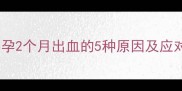 孕早期出血怎么办怀孕2个月出血的5种原因及应对措施附保胎指南