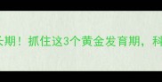 3-12岁孩子身高猛长期抓住这3个黄金发育期科学管理助娃长高20cm