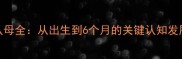 0岁宝宝认母全从出生到6个月的关键认知发展里程碑