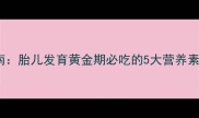 孕期营养指南胎儿发育黄金期必吃的5大营养素及科学食谱