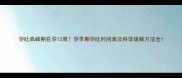 孕吐高峰期在孕12周孕早期孕吐时间表及科学缓解方法全