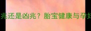 孕妇梦见放牛是吉兆还是凶兆胎宝健康与孕妇心理的深度解读