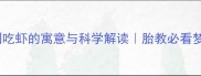 孕妇梦到吃虾的寓意与科学解读胎教必看梦境指南