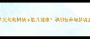 孕妇梦见葡萄树预示胎儿健康孕期营养与梦境全指南