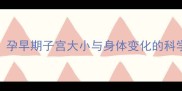 怀孕2个月肚子显怀吗孕早期子宫大小与身体变化的科学解答附产检指南
