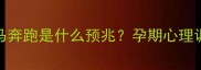 孕妇梦见马奔跑是什么预兆孕期心理调节全攻略