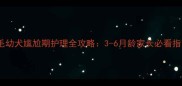 金毛幼犬尴尬期护理全攻略3-6月龄家长必看指南