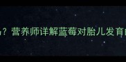 孕期初期可以吃蓝莓吗营养师详解蓝莓对胎儿发育的五大好处及食用指南