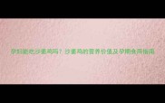 孕妇能吃沙姜鸡吗沙姜鸡的营养价值及孕期食用指南