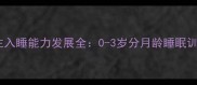 婴儿自主入睡能力发展全0-3岁分月龄睡眠训练指南