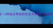 母婴家庭养宠指南5种适合带娃的安全犬种全附疫苗训练安全手册
