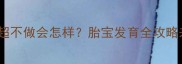 四维彩超不做会怎样胎宝发育全攻略来啦