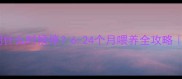 宝宝辅食米糊什么时候停6-24个月喂养全攻略附营养搭配表