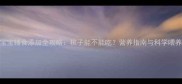 9个月宝宝辅食添加全攻略桃子能不能吃营养指南与科学喂养方案