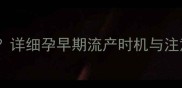 孕三个月能终止妊娠吗详细孕早期流产时机与注意事项附专业指南