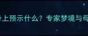 孕妇梦见狗扑身上预示什么专家梦境与母婴健康的关联