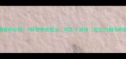 宝宝辅食期必喝5种营养搭配法喝出小身板免疫力翻倍的秘密武器