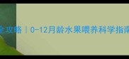 小宝宝辅食添加全攻略0-12月龄水果喂养科学指南新手妈妈必看