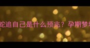 孕妇梦见一群蛇追自己是什么预兆孕期梦境与科学建议