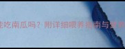 7个月宝宝能吃南瓜吗附详细喂养指南与营养附食谱