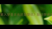 孕妇必看胎动频繁入梦是吉兆还是警讯胎动梦境全及科学应对指南