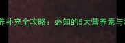 四个月宝宝营养补充全攻略必知的5大营养素与科学喂养指南